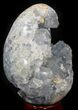 Crystal Filled Celestine (Celestite) Egg #41695-1